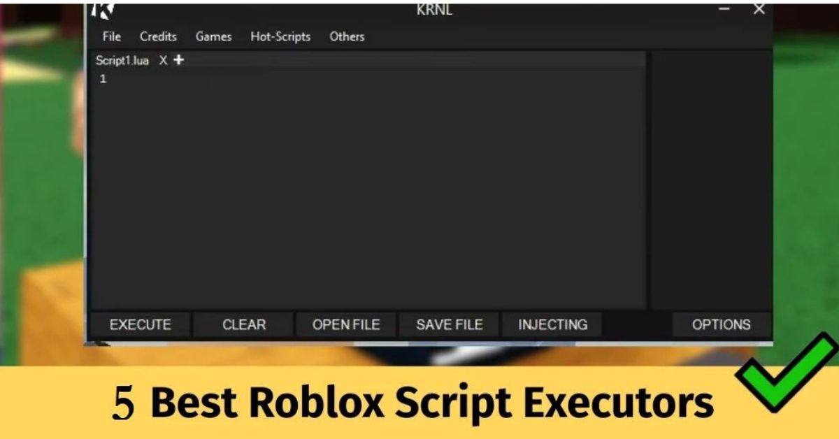 5 best Roblox script executors